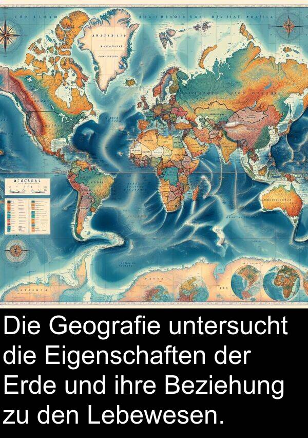 untersucht: Die Geografie untersucht die Eigenschaften der Erde und ihre Beziehung zu den Lebewesen.
