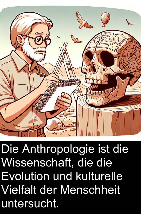 Wissenschaft: Die Anthropologie ist die Wissenschaft, die die Evolution und kulturelle Vielfalt der Menschheit untersucht.