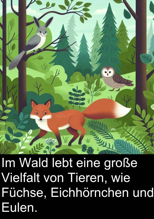 Wald: Im Wald lebt eine große Vielfalt von Tieren, wie Füchse, Eichhörnchen und Eulen.