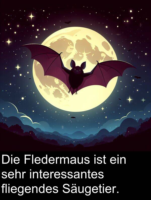 Fledermaus: Die Fledermaus ist ein sehr interessantes fliegendes Säugetier.