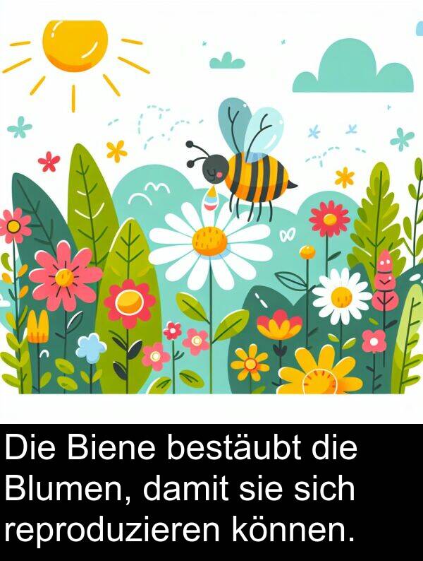 Blumen: Die Biene bestäubt die Blumen, damit sie sich reproduzieren können.