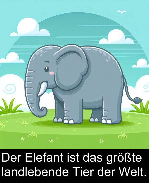 Welt: Der Elefant ist das größte landlebende Tier der Welt.