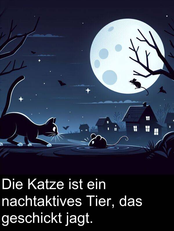 nachtaktives: Die Katze ist ein nachtaktives Tier, das geschickt jagt.