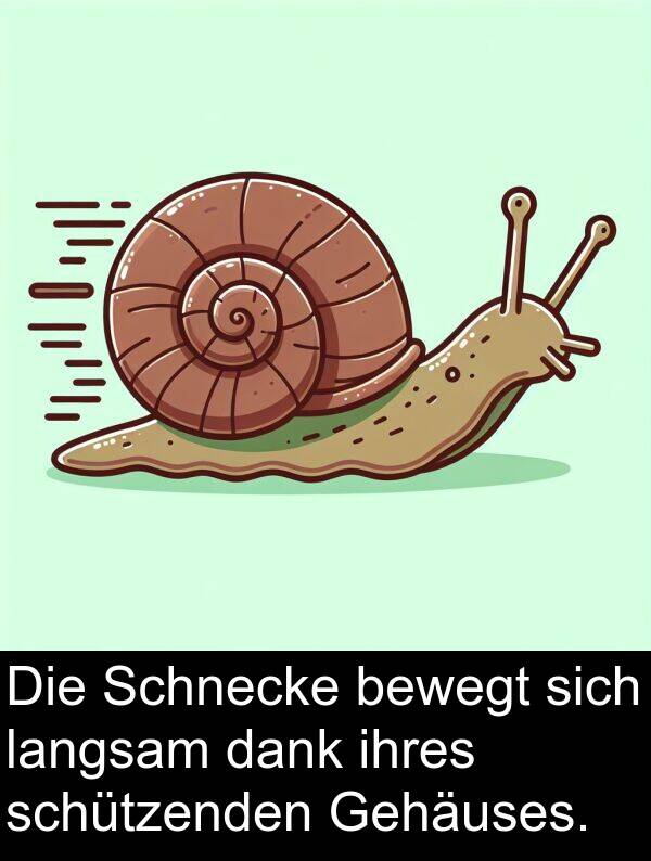 dank: Die Schnecke bewegt sich langsam dank ihres schützenden Gehäuses.