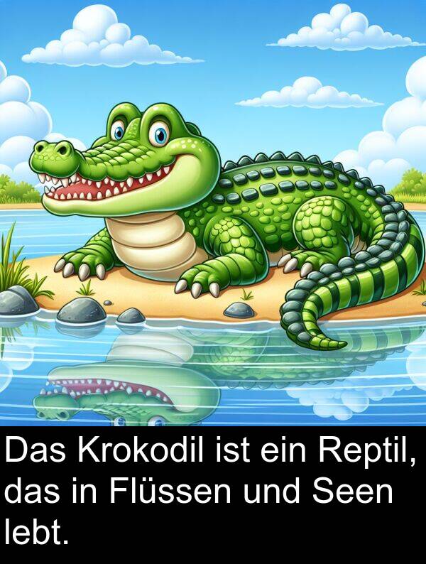 Flüssen: Das Krokodil ist ein Reptil, das in Flüssen und Seen lebt.