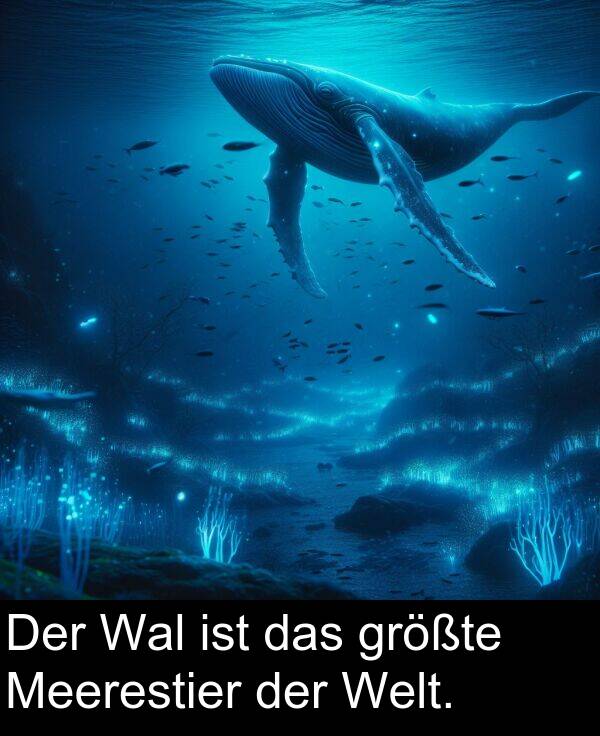 das: Der Wal ist das größte Meerestier der Welt.