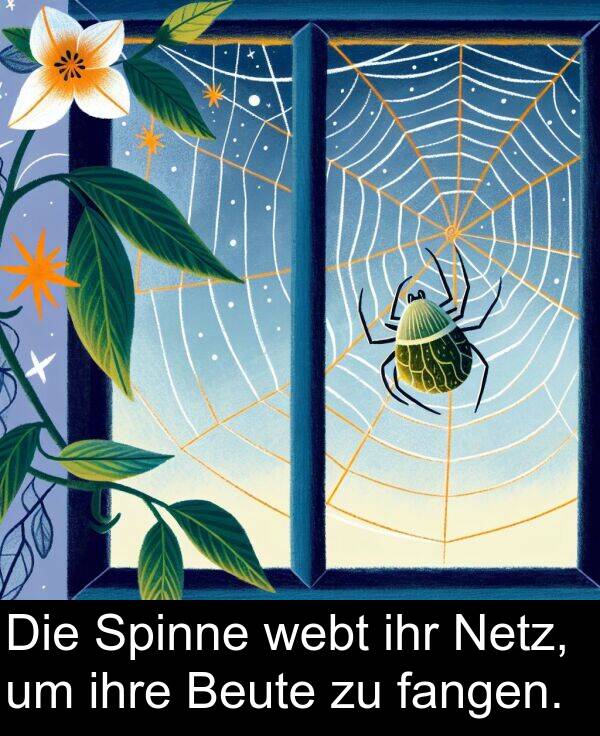 fangen: Die Spinne webt ihr Netz, um ihre Beute zu fangen.