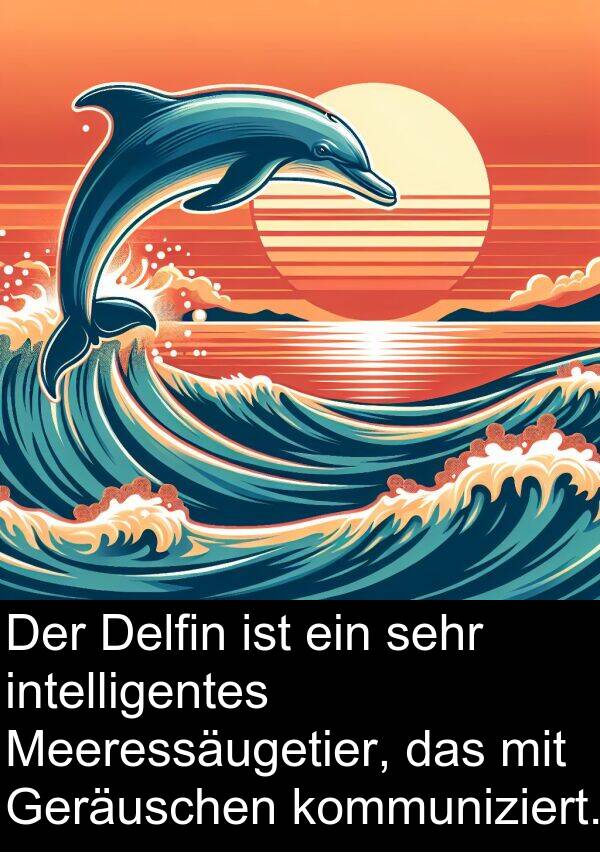 Delfin: Der Delfin ist ein sehr intelligentes Meeressäugetier, das mit Geräuschen kommuniziert.