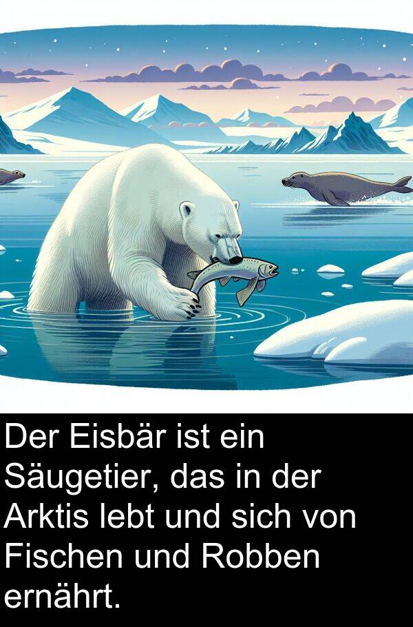 Fischen: Der Eisbär ist ein Säugetier, das in der Arktis lebt und sich von Fischen und Robben ernährt.