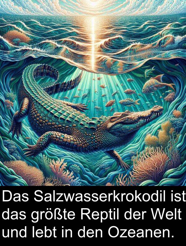 Salzwasserkrokodil: Das Salzwasserkrokodil ist das größte Reptil der Welt und lebt in den Ozeanen.