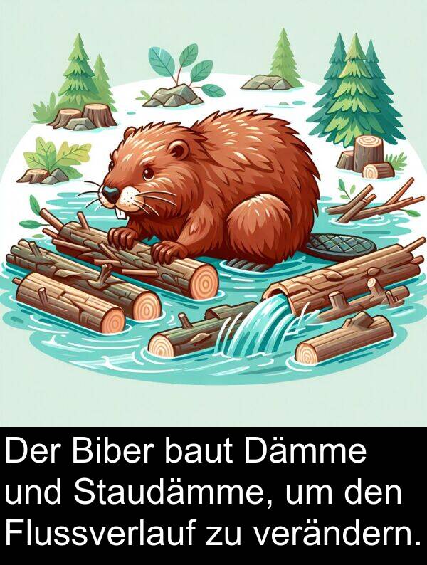 Flussverlauf: Der Biber baut Dämme und Staudämme, um den Flussverlauf zu verändern.