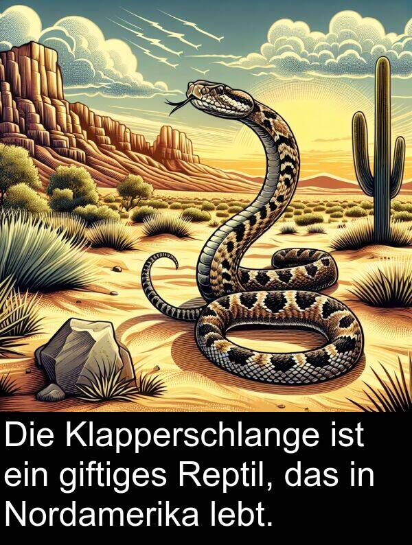 giftiges: Die Klapperschlange ist ein giftiges Reptil, das in Nordamerika lebt.