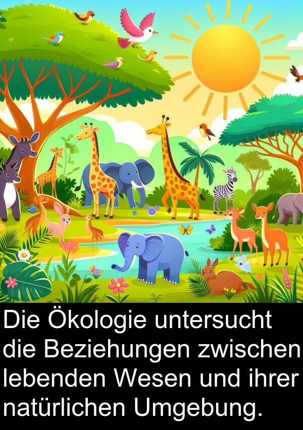 ihrer: Die Ökologie untersucht die Beziehungen zwischen lebenden Wesen und ihrer natürlichen Umgebung.