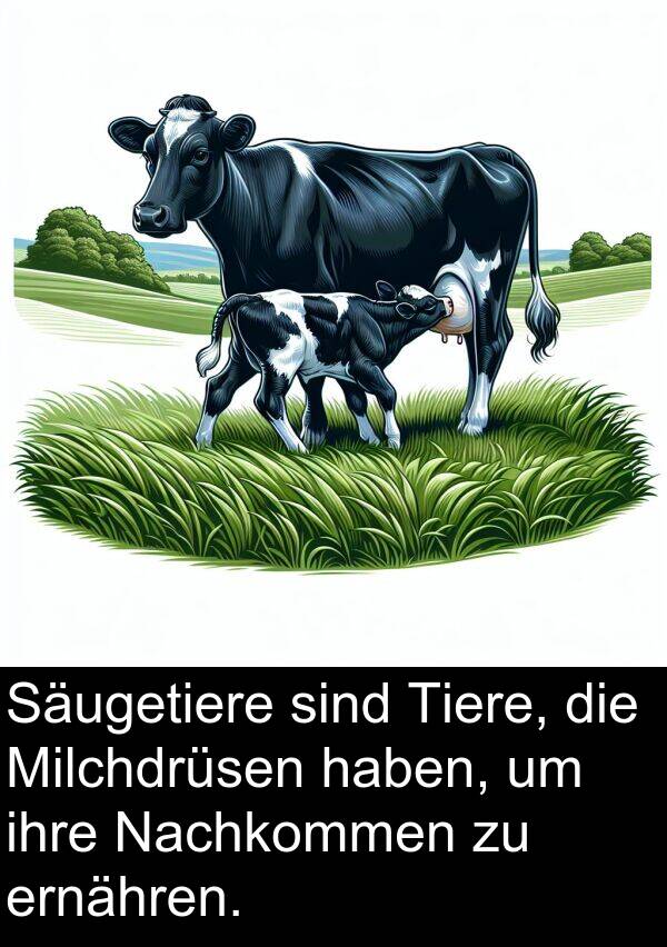 Säugetiere: Säugetiere sind Tiere, die Milchdrüsen haben, um ihre Nachkommen zu ernähren.