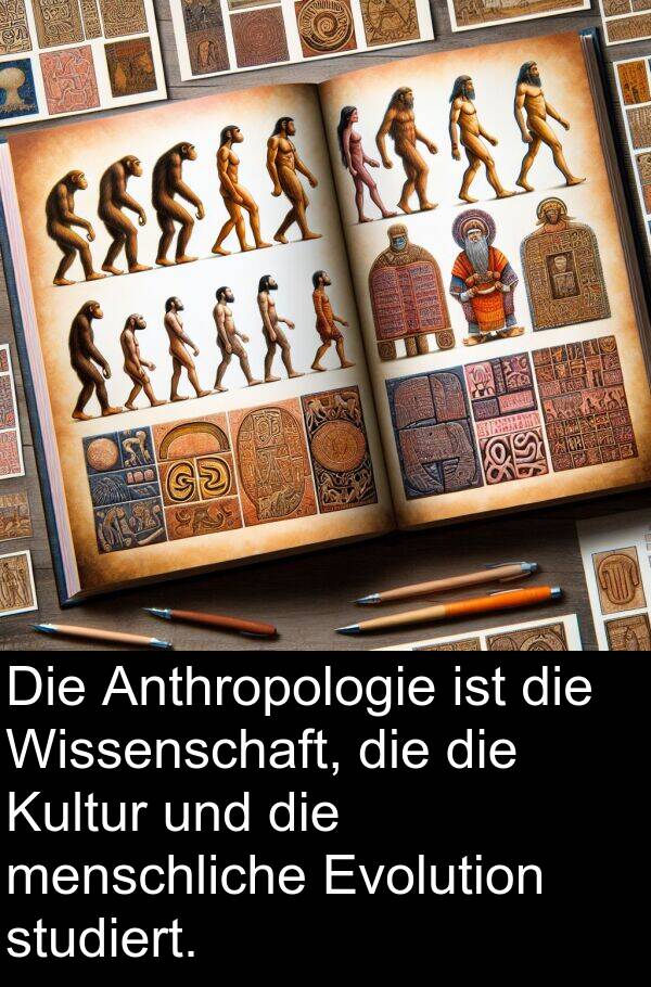 Wissenschaft: Die Anthropologie ist die Wissenschaft, die die Kultur und die menschliche Evolution studiert.