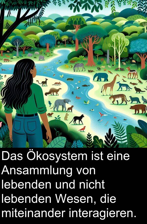 miteinander: Das Ökosystem ist eine Ansammlung von lebenden und nicht lebenden Wesen, die miteinander interagieren.