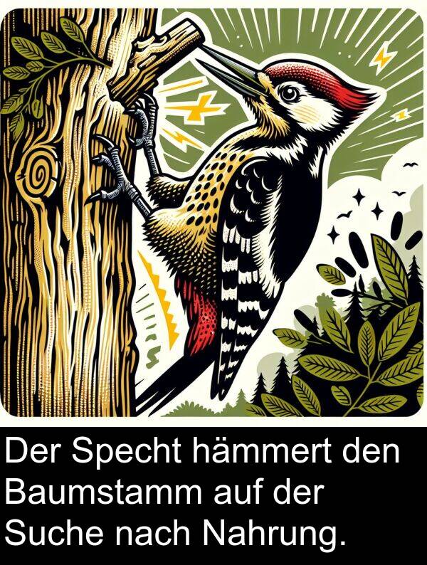 nach: Der Specht hämmert den Baumstamm auf der Suche nach Nahrung.