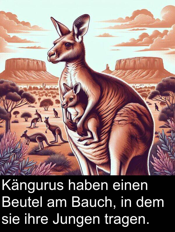 ihre: Kängurus haben einen Beutel am Bauch, in dem sie ihre Jungen tragen.
