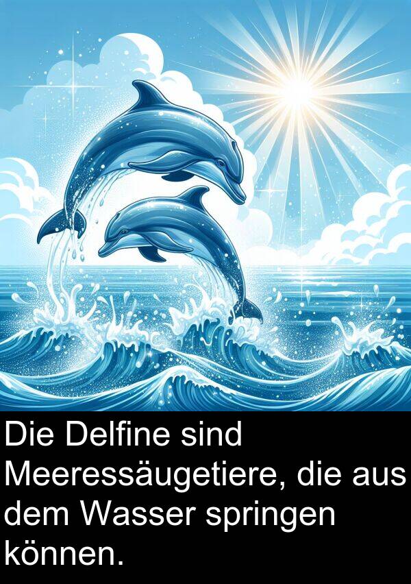 Delfine: Die Delfine sind Meeressäugetiere, die aus dem Wasser springen können.