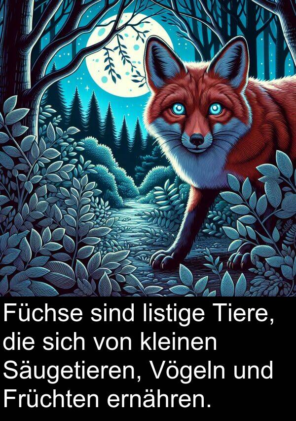 Früchten: Füchse sind listige Tiere, die sich von kleinen Säugetieren, Vögeln und Früchten ernähren.