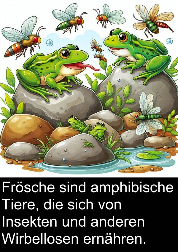 Frösche: Frösche sind amphibische Tiere, die sich von Insekten und anderen Wirbellosen ernähren.