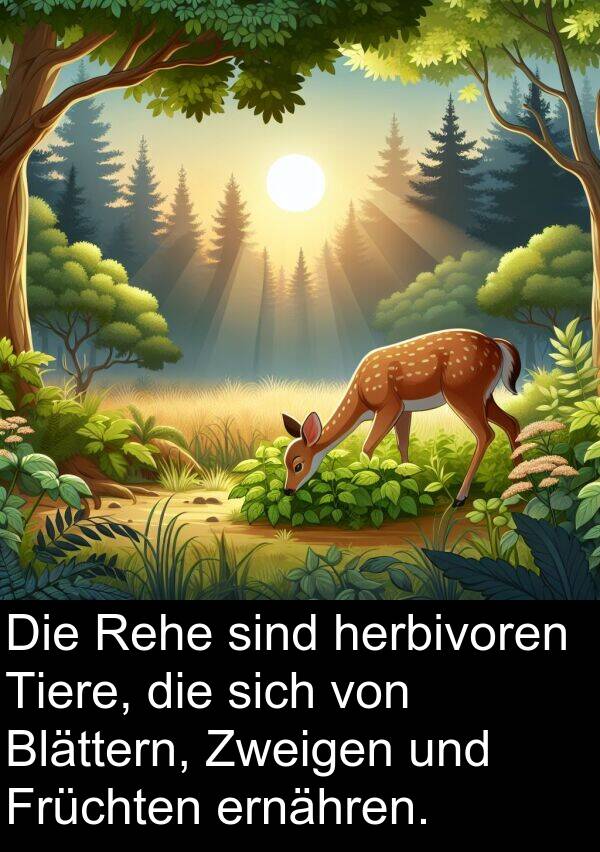 Früchten: Die Rehe sind herbivoren Tiere, die sich von Blättern, Zweigen und Früchten ernähren.