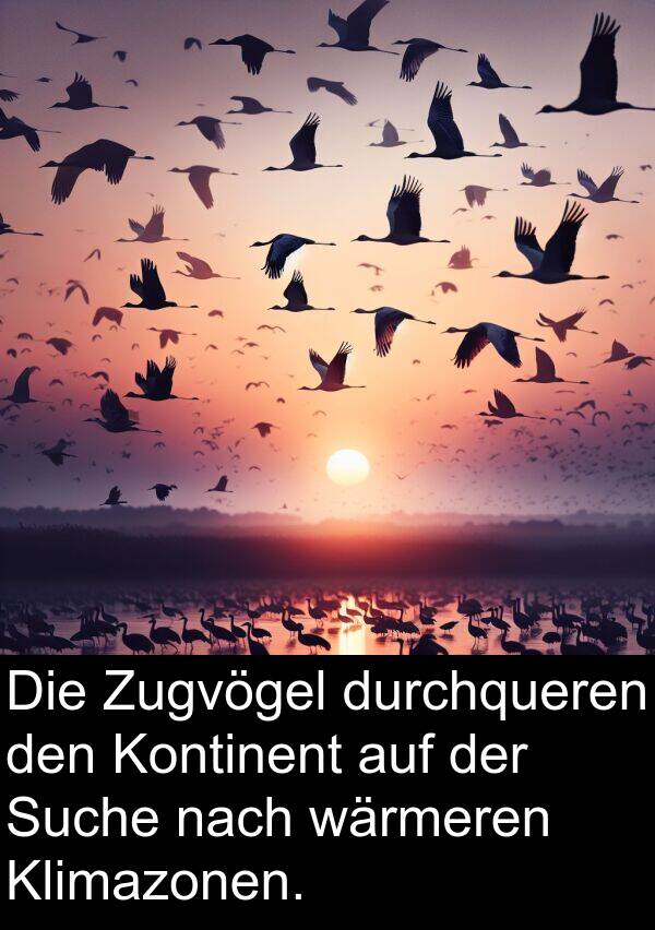 wärmeren: Die Zugvögel durchqueren den Kontinent auf der Suche nach wärmeren Klimazonen.