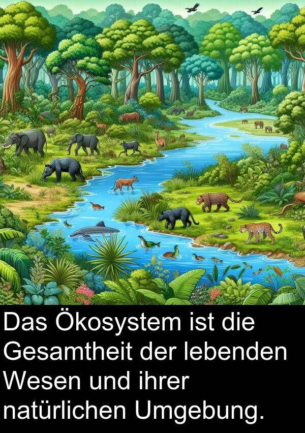 ihrer: Das Ökosystem ist die Gesamtheit der lebenden Wesen und ihrer natürlichen Umgebung.