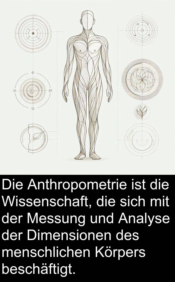 Dimensionen: Die Anthropometrie ist die Wissenschaft, die sich mit der Messung und Analyse der Dimensionen des menschlichen Körpers beschäftigt.