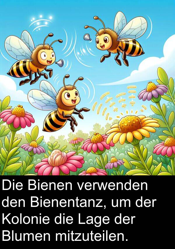 mitzuteilen: Die Bienen verwenden den Bienentanz, um der Kolonie die Lage der Blumen mitzuteilen.