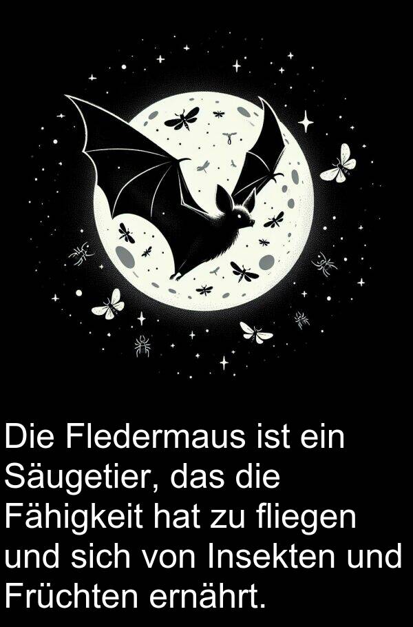 Früchten: Die Fledermaus ist ein Säugetier, das die Fähigkeit hat zu fliegen und sich von Insekten und Früchten ernährt.