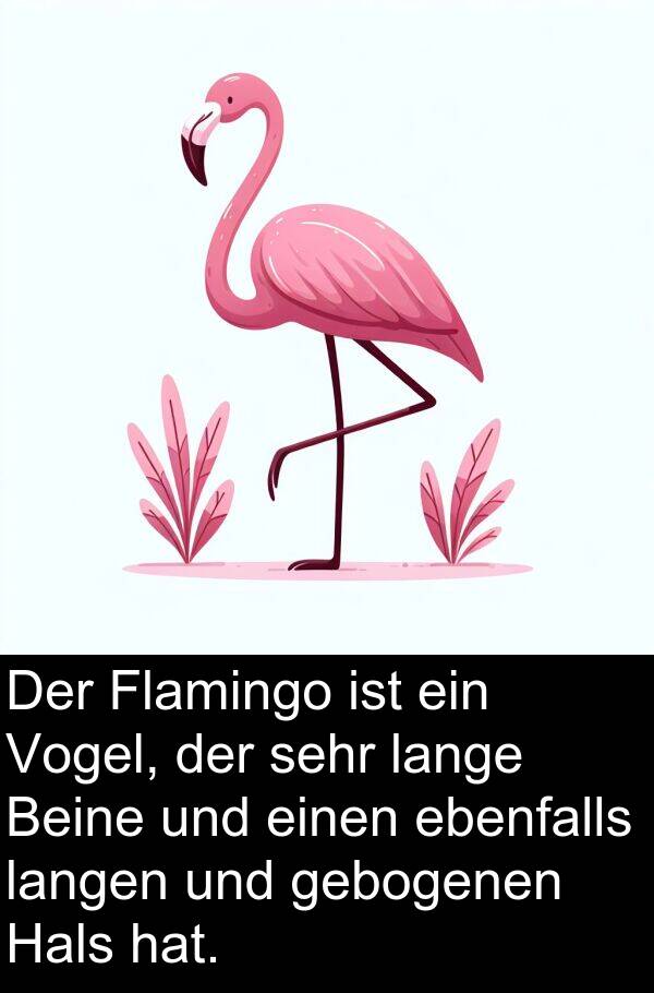 ebenfalls: Der Flamingo ist ein Vogel, der sehr lange Beine und einen ebenfalls langen und gebogenen Hals hat.