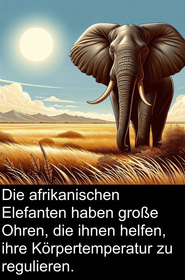 ihnen: Die afrikanischen Elefanten haben große Ohren, die ihnen helfen, ihre Körpertemperatur zu regulieren.