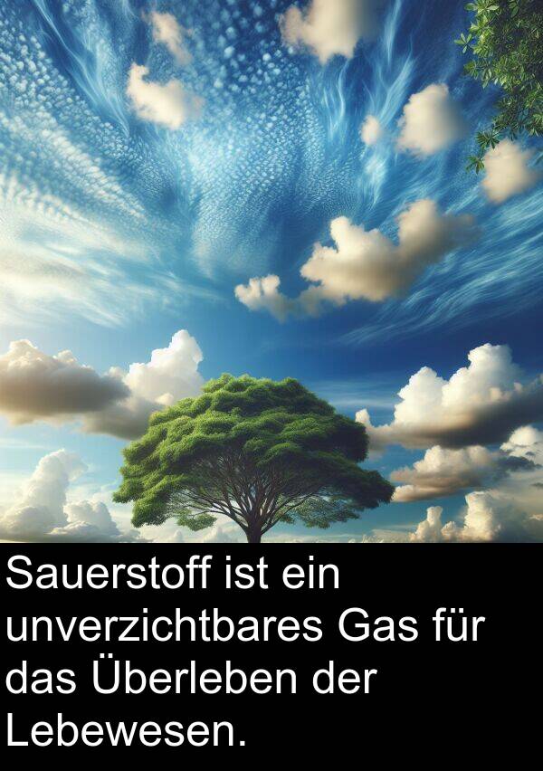 unverzichtbares: Sauerstoff ist ein unverzichtbares Gas für das Überleben der Lebewesen.