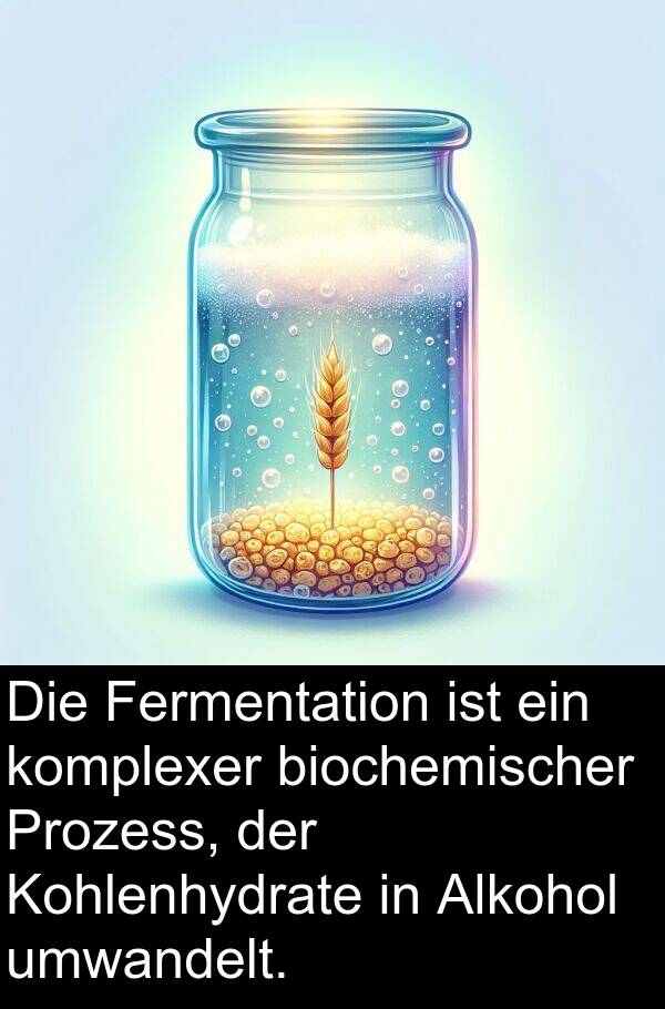 Fermentation: Die Fermentation ist ein komplexer biochemischer Prozess, der Kohlenhydrate in Alkohol umwandelt.