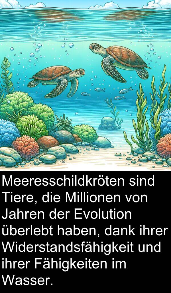 dank: Meeresschildkröten sind Tiere, die Millionen von Jahren der Evolution überlebt haben, dank ihrer Widerstandsfähigkeit und ihrer Fähigkeiten im Wasser.