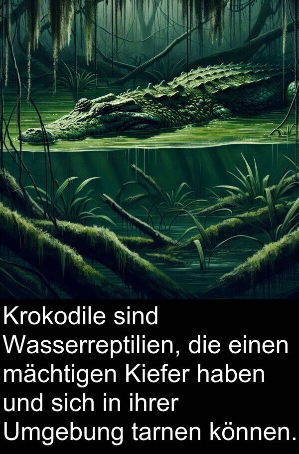 mächtigen: Krokodile sind Wasserreptilien, die einen mächtigen Kiefer haben und sich in ihrer Umgebung tarnen können.