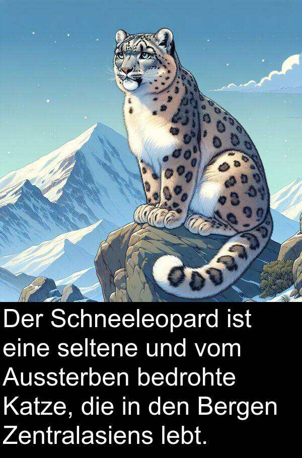 bedrohte: Der Schneeleopard ist eine seltene und vom Aussterben bedrohte Katze, die in den Bergen Zentralasiens lebt.