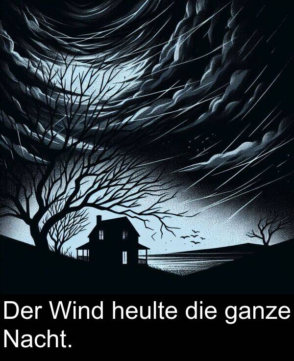 Wind: Der Wind heulte die ganze Nacht.