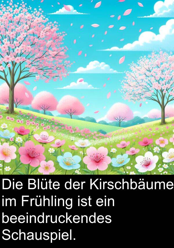Frühling: Die Blüte der Kirschbäume im Frühling ist ein beeindruckendes Schauspiel.