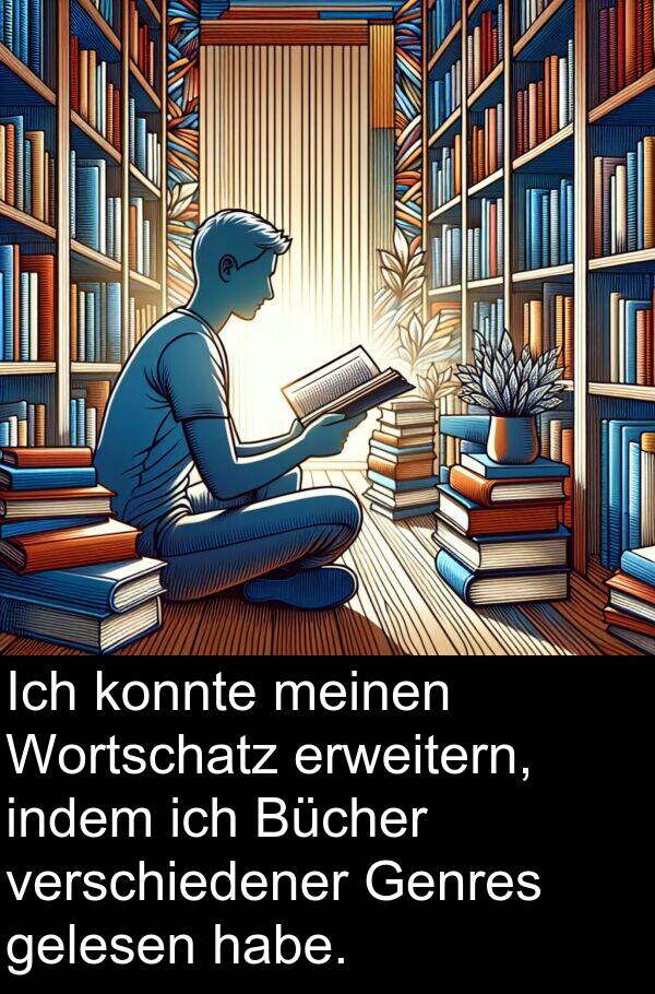 Wortschatz: Ich konnte meinen Wortschatz erweitern, indem ich Bücher verschiedener Genres gelesen habe.