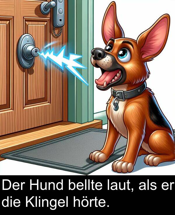 Hund: Der Hund bellte laut, als er die Klingel hörte.