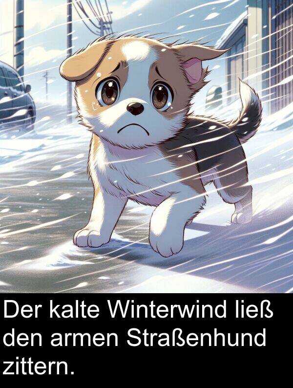 Winterwind: Der kalte Winterwind ließ den armen Straßenhund zittern.