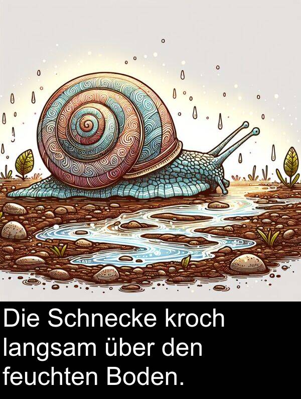 über: Die Schnecke kroch langsam über den feuchten Boden.