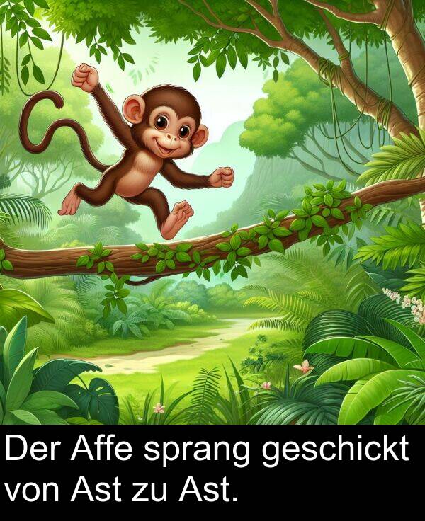 Ast: Der Affe sprang geschickt von Ast zu Ast.