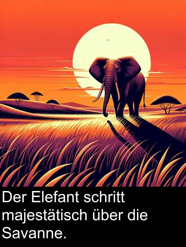 über: Der Elefant schritt majestätisch über die Savanne.