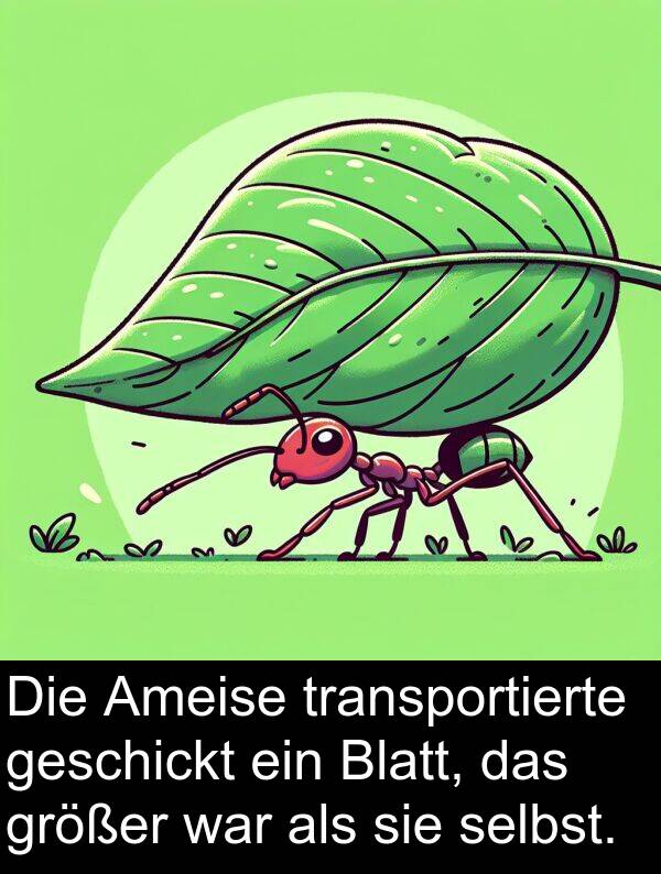 transportierte: Die Ameise transportierte geschickt ein Blatt, das größer war als sie selbst.
