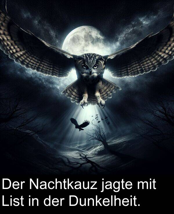 jagte: Der Nachtkauz jagte mit List in der Dunkelheit.