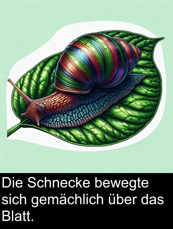 über: Die Schnecke bewegte sich gemächlich über das Blatt.