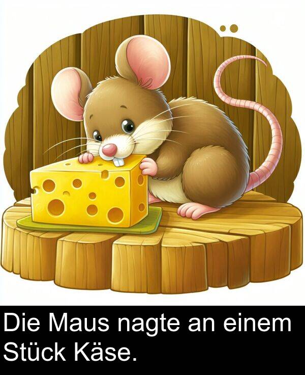Die: Die Maus nagte an einem Stück Käse.